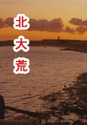 精品一区二区免费视频